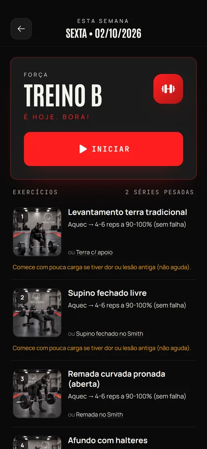 Treino do dia com a lista de exercícios